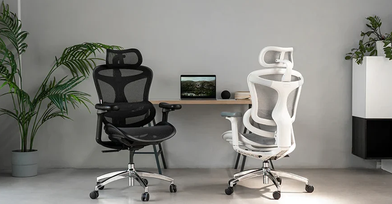 Ergonomic vs Executive Office Chairs: Which One Should You Choose?